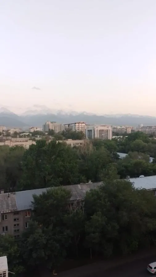 Апартаменты Middle Asia On Kazybek Bi Street 139 Алматы